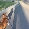 carolinewald444